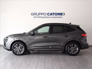 FORD Kuga 2.5 Plug In Hybrid 225 CV CVT 2WD ST-Line 7