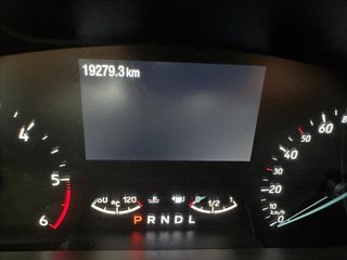 FORD Focus 1.5 ecoblue ST-Line 115cv auto 12