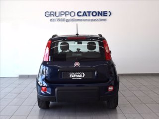 FIAT Panda 1.2 easypower City Life Gpl s&s 69cv 5