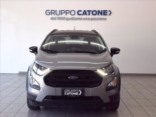 FORD EcoSport 1.0 ecoboost Active s&s 125cv 1