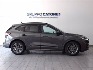 FORD Kuga 1.5 ecoblue ST-Line 2wd 120cv 3