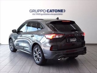 FORD Kuga 1.5 ecoblue ST-Line 2wd 120cv 6
