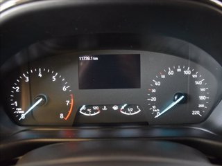 FORD Puma 1.0 ecoboost h Titanium Design s&s 125cv 12