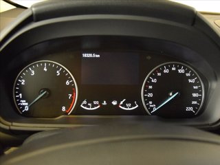 FORD EcoSport 1.0 ecoboost Active s&s 125cv 14
