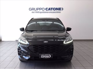 FORD Kuga 2.0 ecoblue ST-Line X 2wd 120cv auto 1