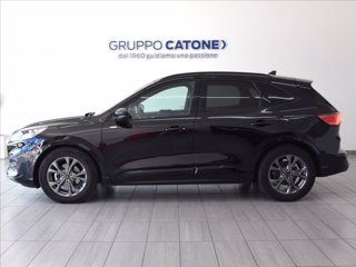 FORD Kuga 2.0 ecoblue ST-Line X 2wd 120cv auto 7