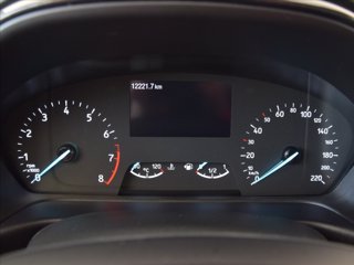 FORD Puma 1.0 ecoboost h Titanium s&s 125cv 13