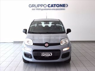 FIAT Panda 1.2 Easy 69cv