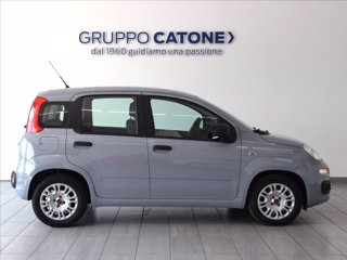 FIAT Panda 1.2 Easy 69cv