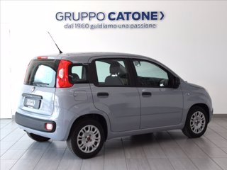FIAT Panda 1.2 Easy 69cv