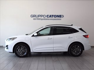 FORD Kuga 2.5 phev ST-Line 2wd 243cv auto