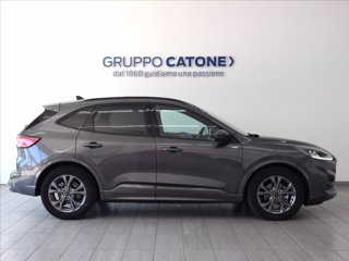 FORD Kuga 2.5 full hybrid ST-Line 2wd 190cv cvt