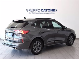 FORD Kuga 2.5 full hybrid ST-Line 2wd 190cv cvt