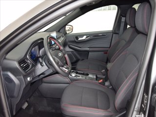 FORD Kuga 1.5 ecoblue ST-Line 2wd 120cv auto 11