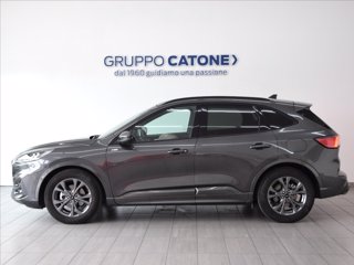 FORD Kuga 1.5 ecoblue ST-Line 2wd 120cv auto 7