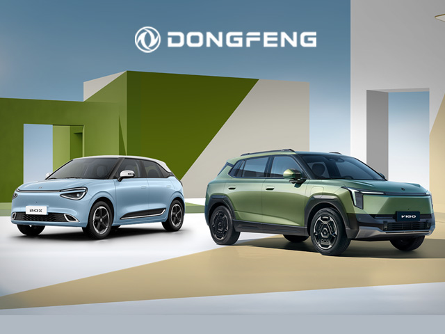 Banner Dongfeng Elettric Cell