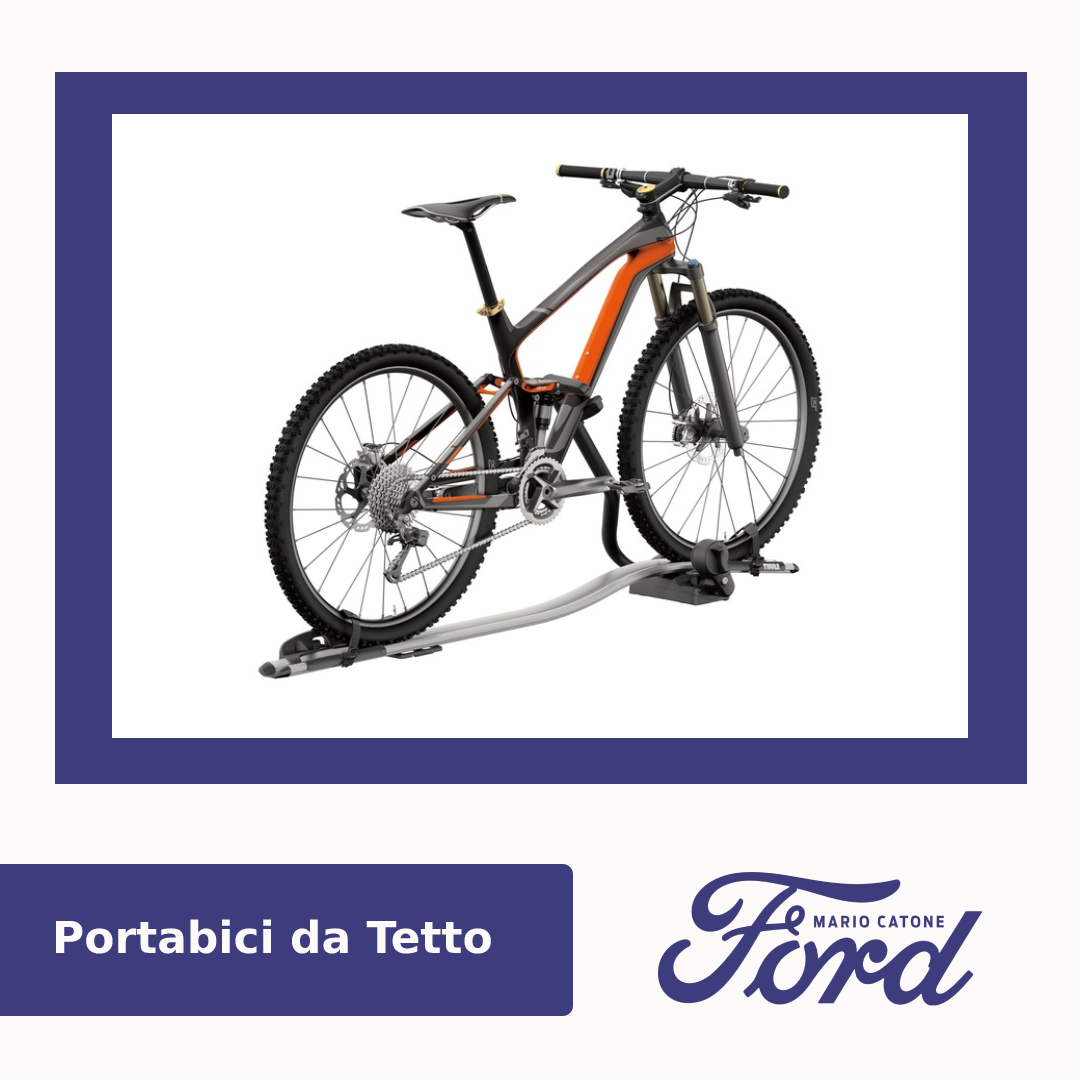 Portabici Da Tetto (1)