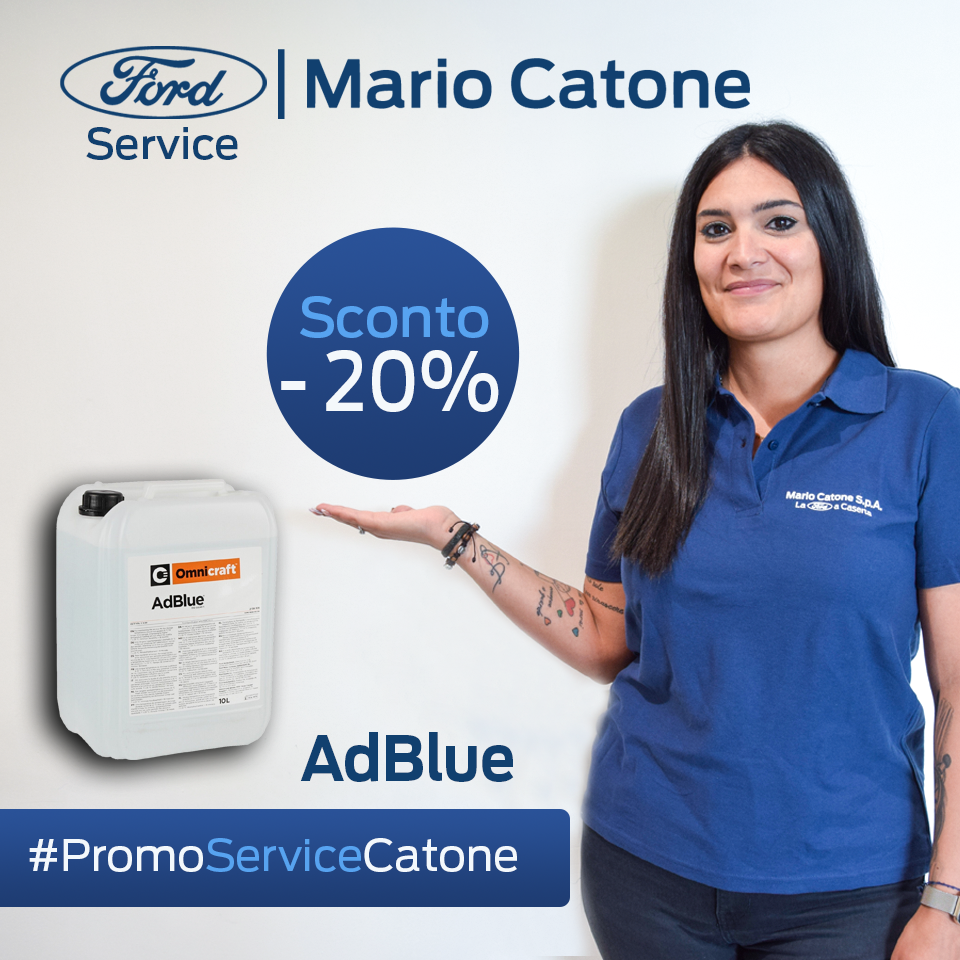 SERVICE FORD ADBLUE LORENA (1)