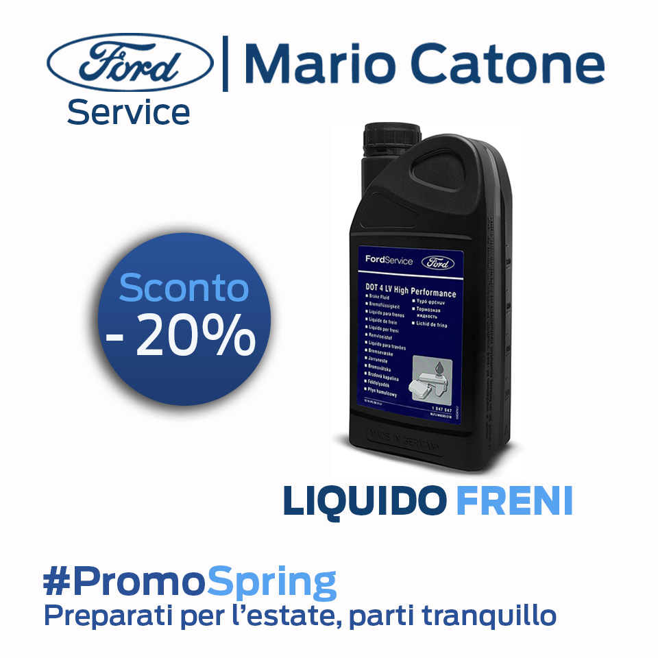 SERVICE FORD LIQUIDO Freni